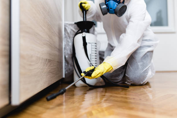 Best Emergency Pest Control  in Tiltonsville, OH