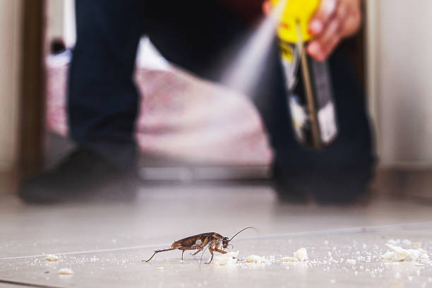 Best Residential Pest Control  in Tiltonsville, OH