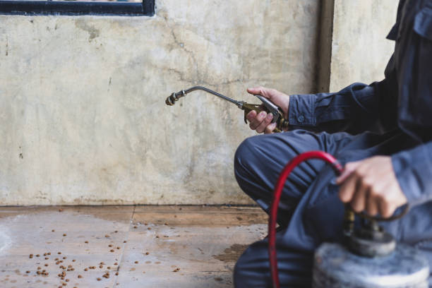 Best Pest Control for Businesses  in Tiltonsville, OH